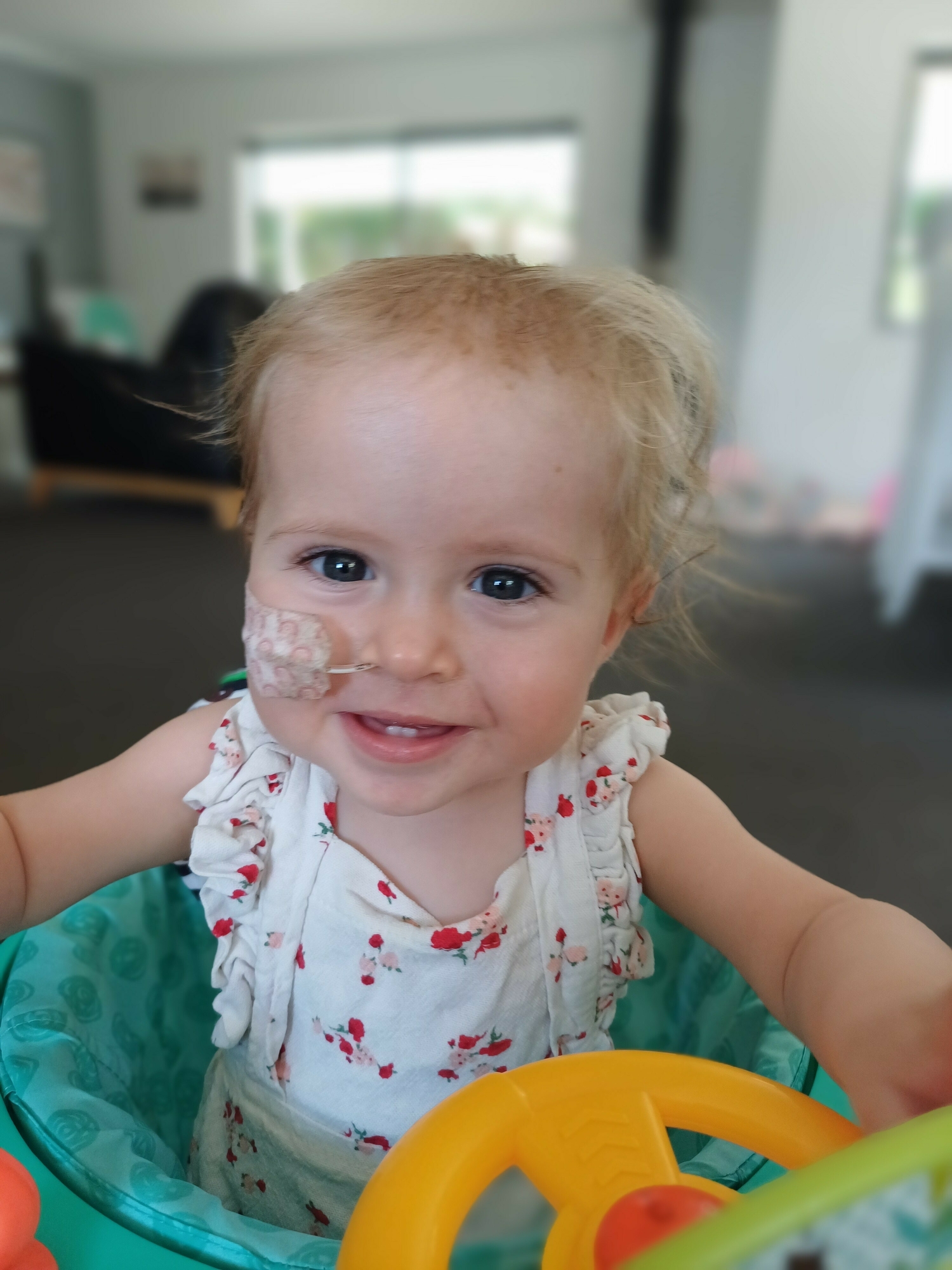 Kiwi innovation gives premature babies a fighting chance